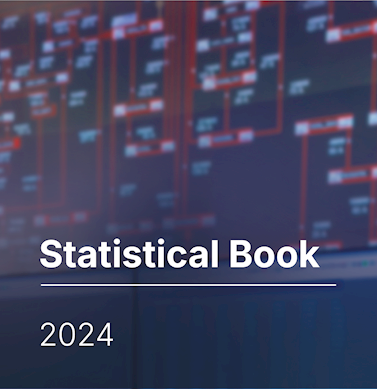 ​​​Statistical Book 2024